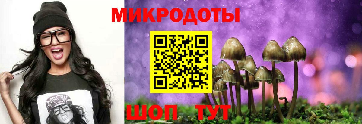Галлюциногенные грибы Psilocybine cubensis  Вход с VPN  Вичуга 